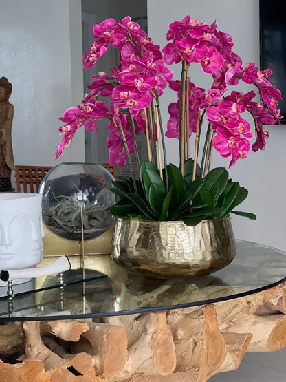 Pink Phalaenopsis Orchid Arrangement in Gold Planter