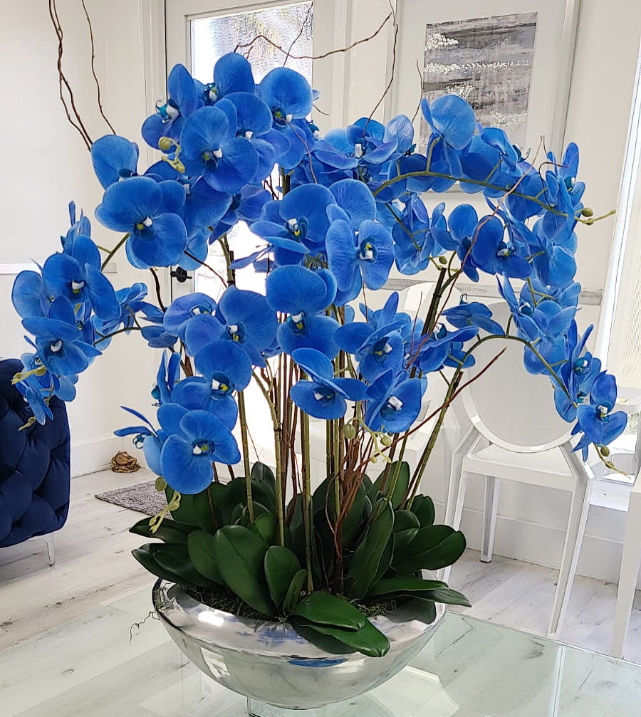 Blue Phalaenopsis Orchid Arrangement in Silver Moss Bowl