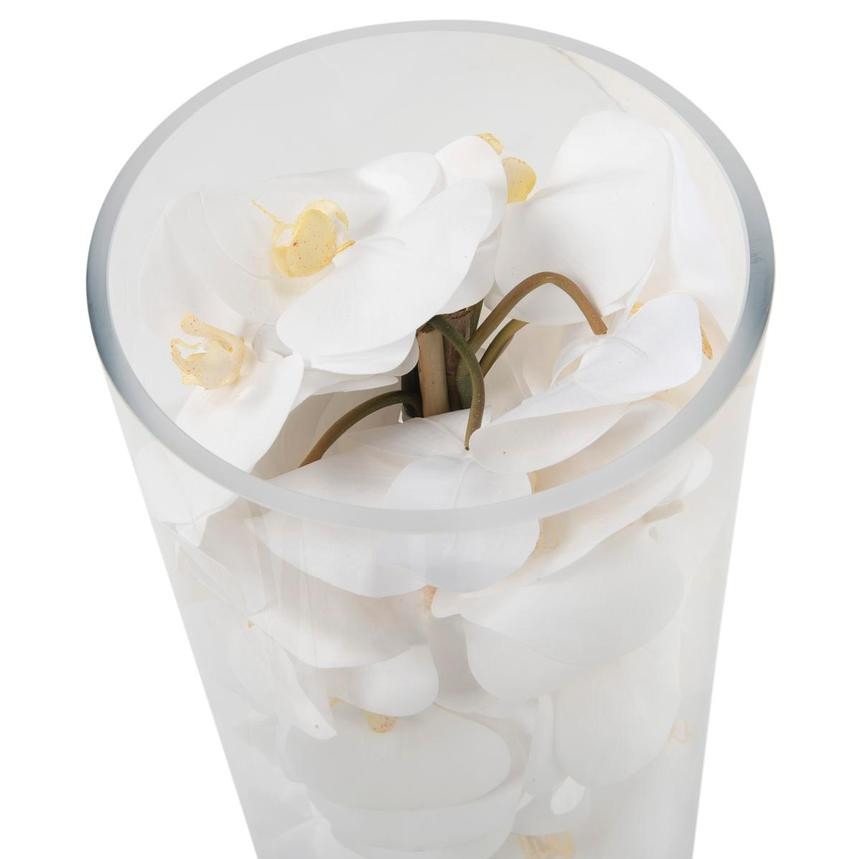 White Phalaenopsis Orchid Arrangement in Handblown Glass Cylinder