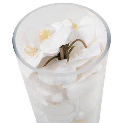White Phalaenopsis Orchid Arrangement in Handblown Glass Cylinder