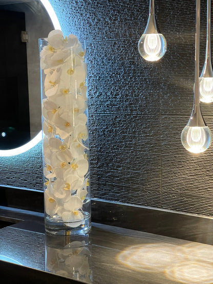 White Phalaenopsis Orchid Arrangement in Handblown Glass Cylinder