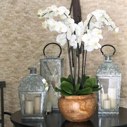 Teak Bowl with White Orchids