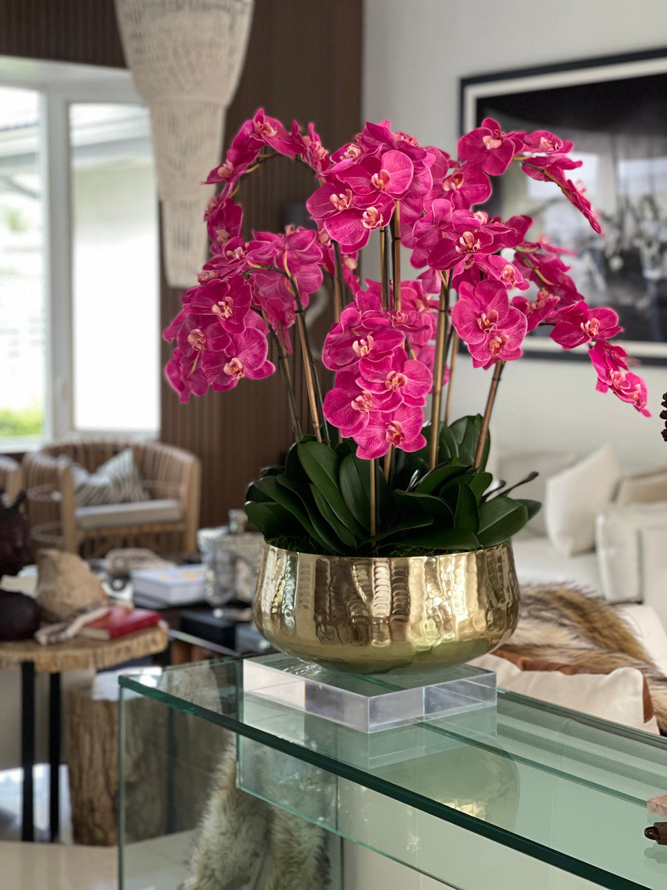 Pink Phalaenopsis Orchid Arrangement in Gold Planter
