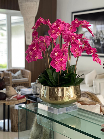 Pink Phalaenopsis Orchid Arrangement in Gold Planter