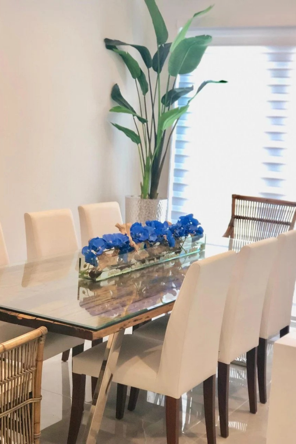 Blue Phalaenopsis Orchids in Casa Moderna Glass Plate