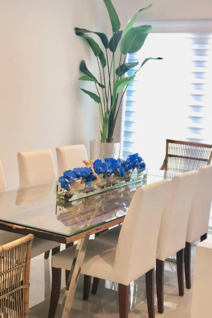 Blue Phalaenopsis Orchids in Casa Moderna Glass Plate