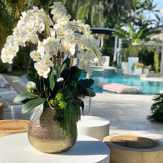 Grand White Phalaenopsis Orchid Arrangement in Delany Gold Planter