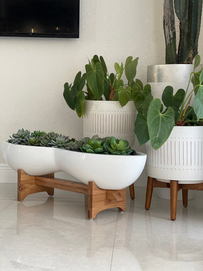 Mixed Succulent Arrangement in Infinity Fiberglass Planter
