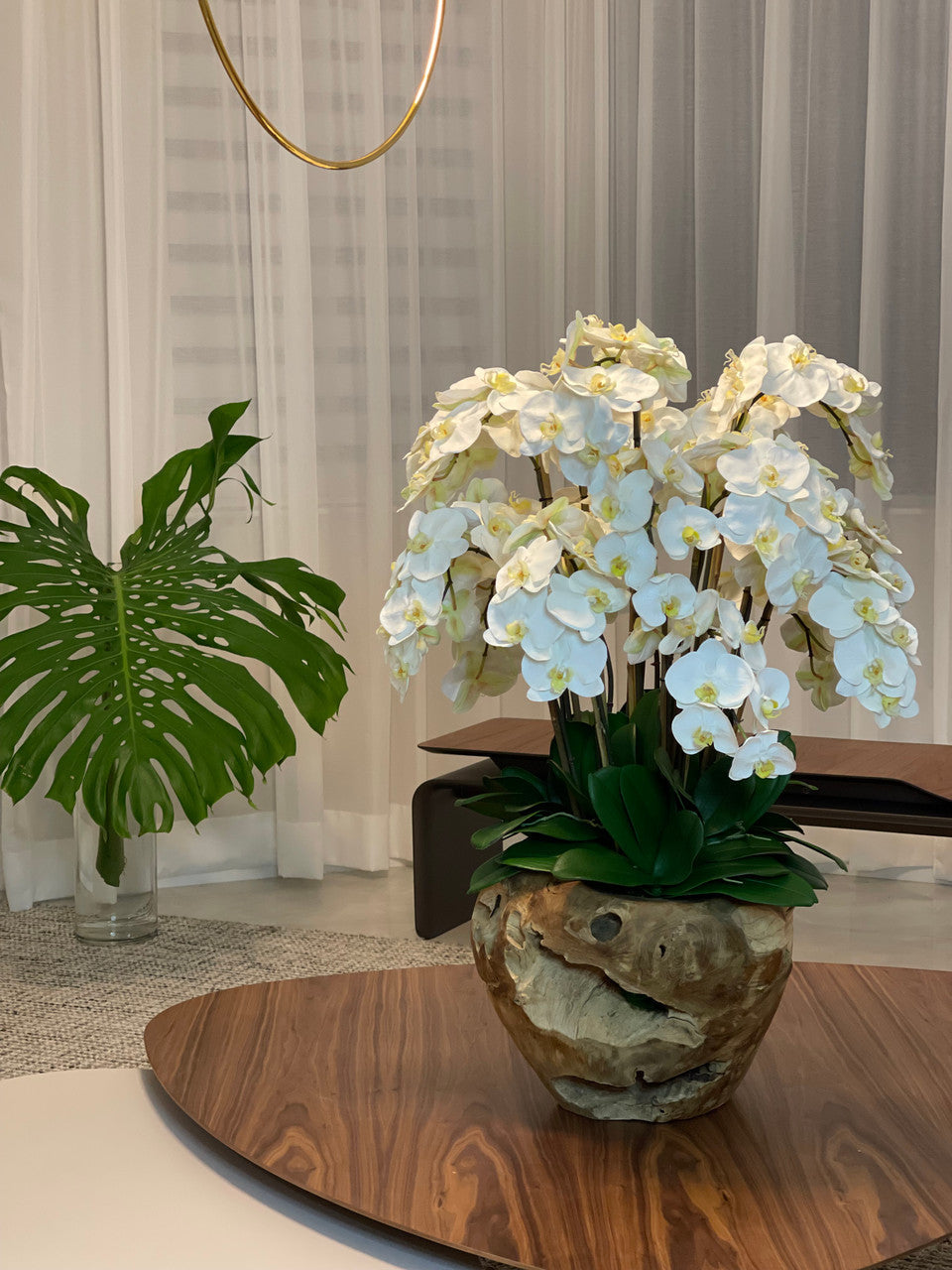 White Phalaenopsis Orchid Arrangement in Handcrafted Teak Bowl
