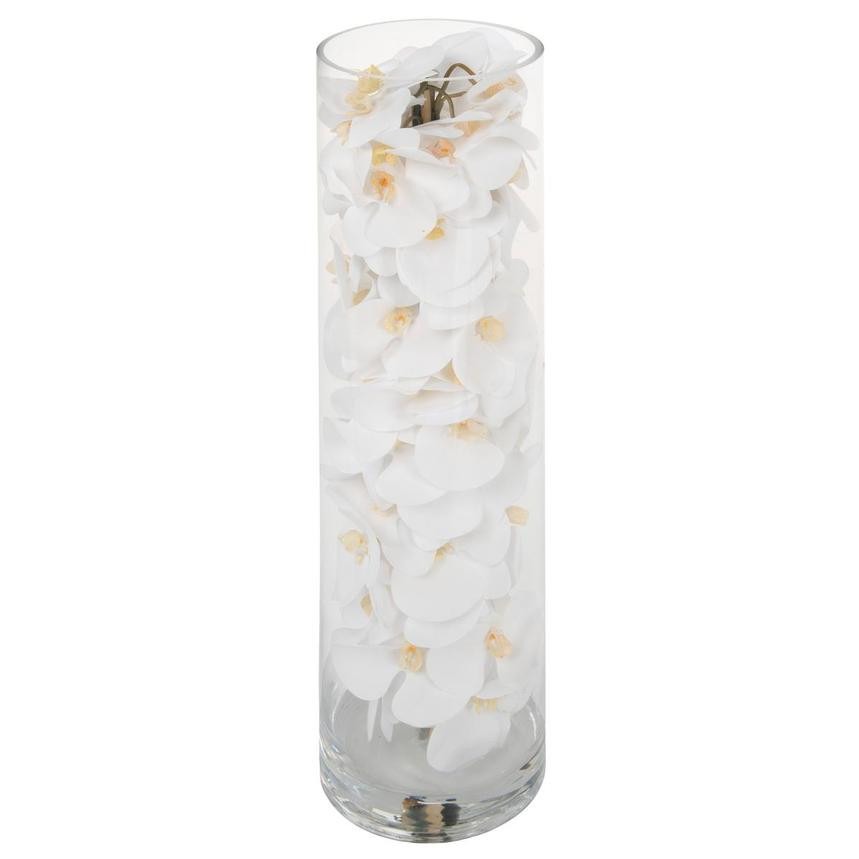 White Phalaenopsis Orchid Arrangement in Handblown Glass Cylinder