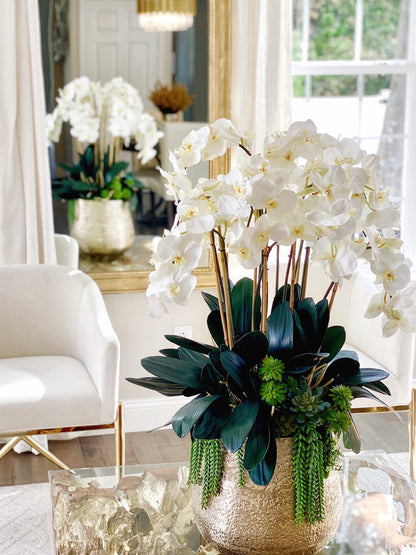 Grand White Phalaenopsis Orchid Arrangement in Delany Gold Planter