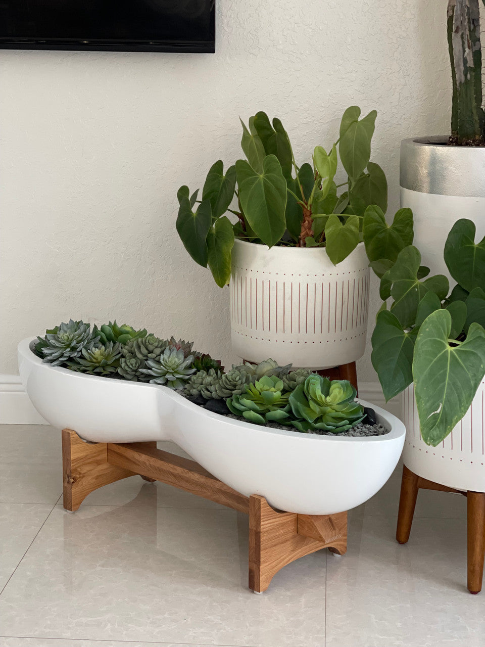 Mixed Succulent Arrangement in Infinity Fiberglass Planter