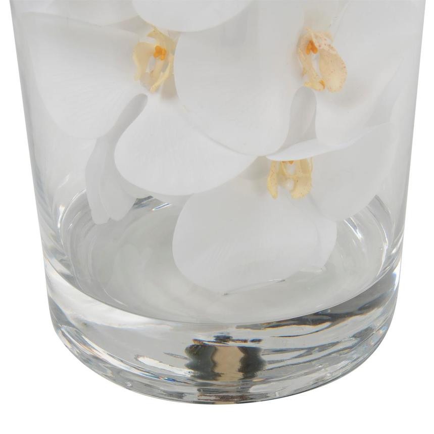 White Phalaenopsis Orchid Arrangement in Handblown Glass Cylinder