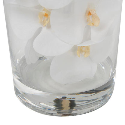 White Phalaenopsis Orchid Arrangement in Handblown Glass Cylinder