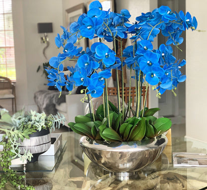 Blue Phalaenopsis Orchid Arrangement in Silver Moss Bowl