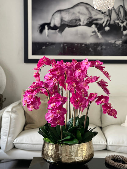 Pink Phalaenopsis Orchid Arrangement in Gold Planter