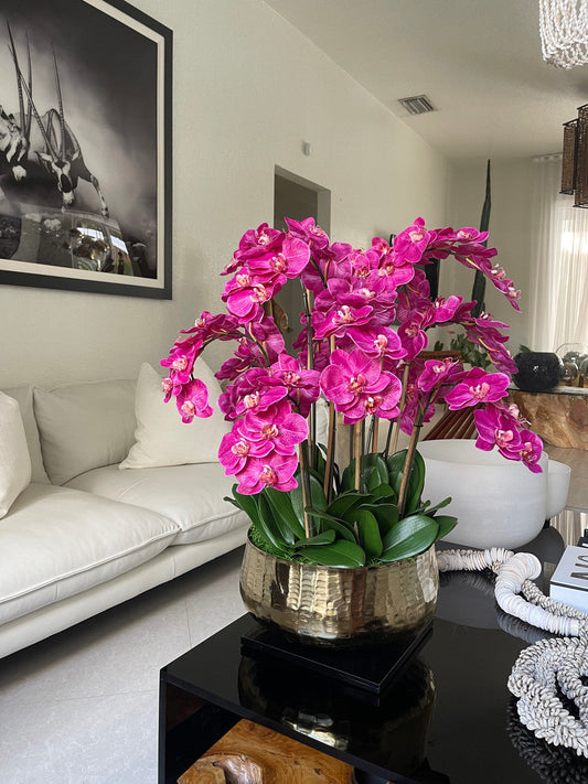 Pink Phalaenopsis Orchid Arrangement in Gold Planter