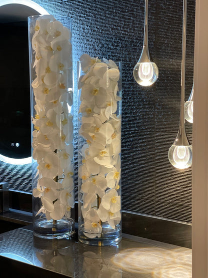 White Phalaenopsis Orchid Arrangement in Handblown Glass Cylinder