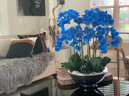 Blue Phalaenopsis Orchid Arrangement in Silver Moss Bowl