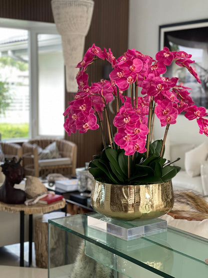 Pink Phalaenopsis Orchid Arrangement in Gold Planter