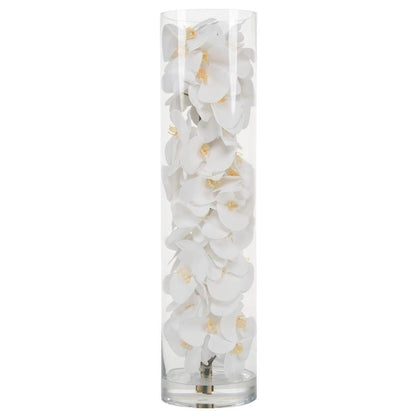 White Phalaenopsis Orchid Arrangement in Handblown Glass Cylinder