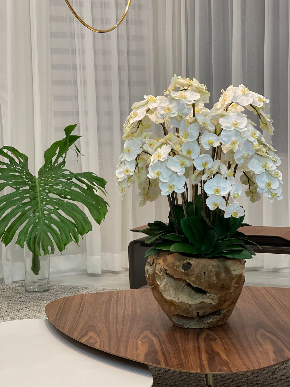 White Phalaenopsis Orchid Arrangement in Handcrafted Teak Bowl