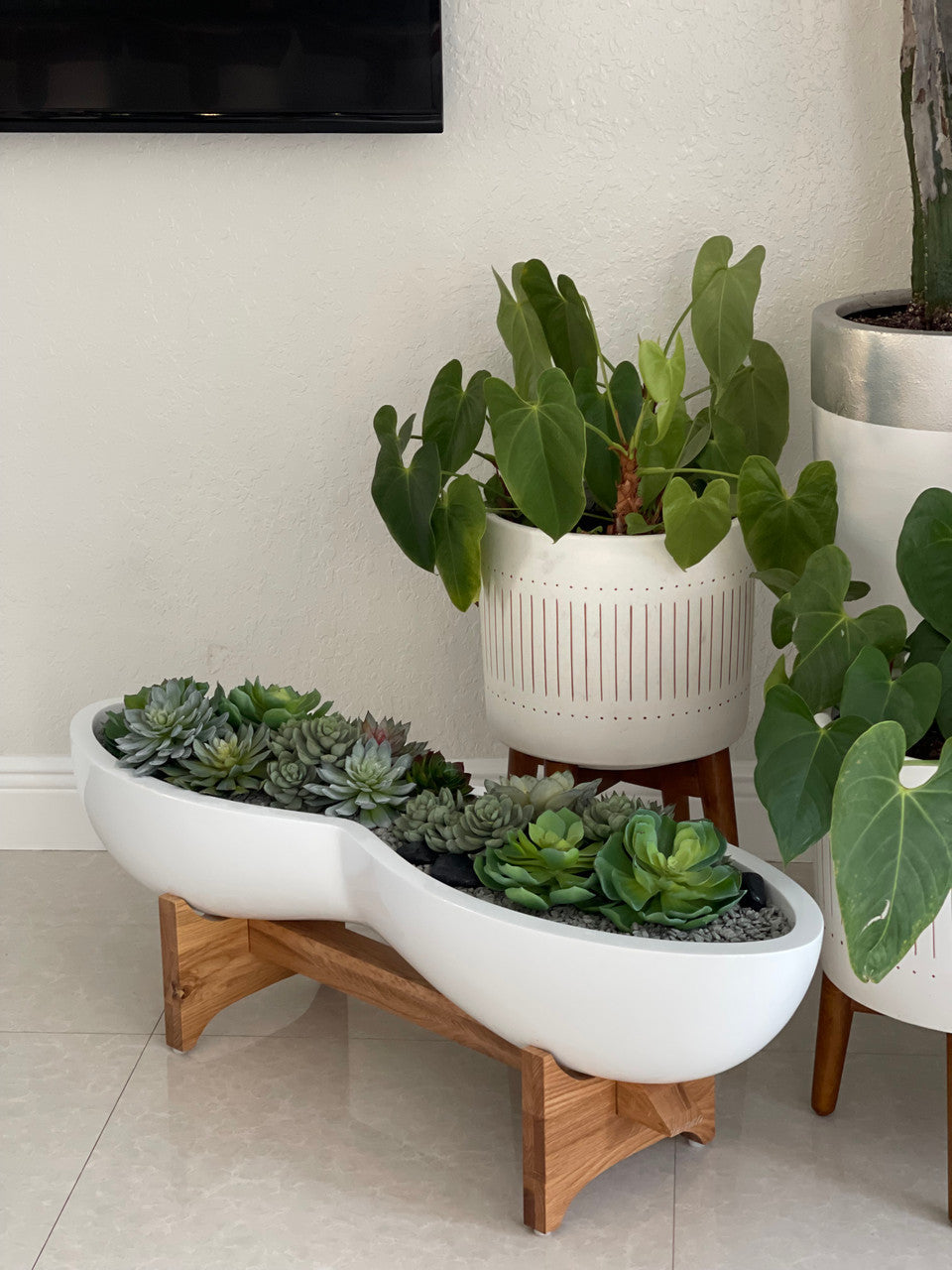 Mixed Succulent Arrangement in Infinity Fiberglass Planter